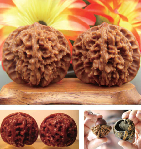 熊猫体育公司:2001年龄段优秀球员集体参观“砥砺奋进的五年”大型成就展(图1) 熊猫体育首页