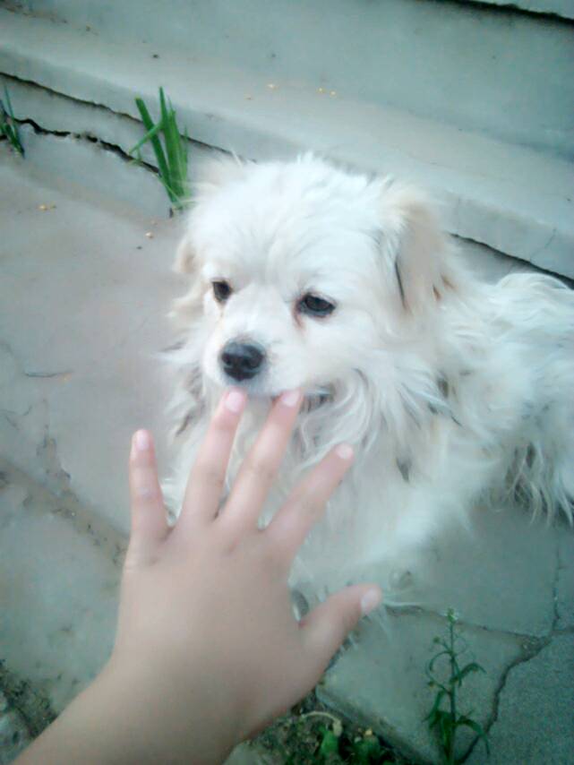 今年世界足球先生不是梅罗 竟是他“熊猫体育首页”(图6) 熊猫体育