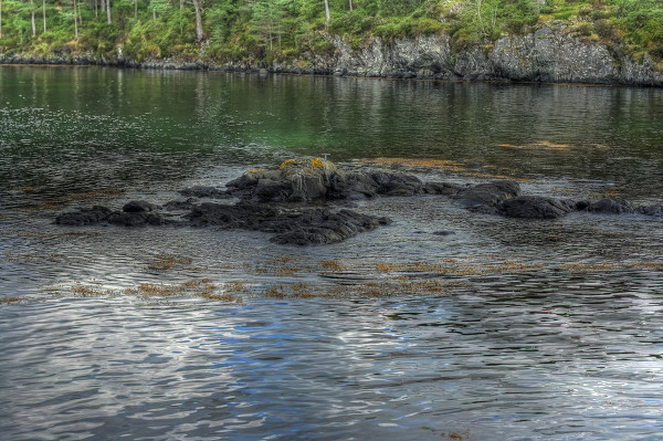 穿短裤已经由时了 比短裤更受接待的三分长热裤 学生们很合适:熊猫体育公司(图7) 熊猫体育公司