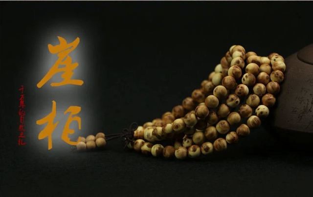 洛桑足球场,玻璃与水泥构建的地标修建:熊猫体育首页(图1) 熊猫体育