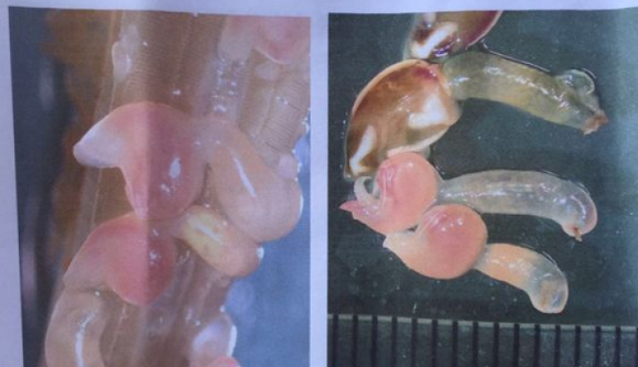 熊猫体育首页